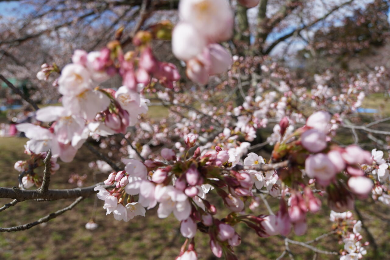 01_DSC_5878_fix